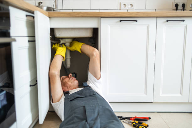 Best Plumbing Repair Near Me  in Shenandoah, VA
